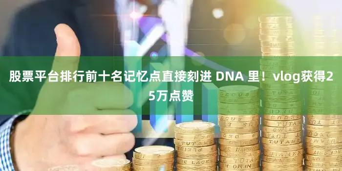 股票平台排行前十名记忆点直接刻进 DNA 里！vlog获得25万点赞