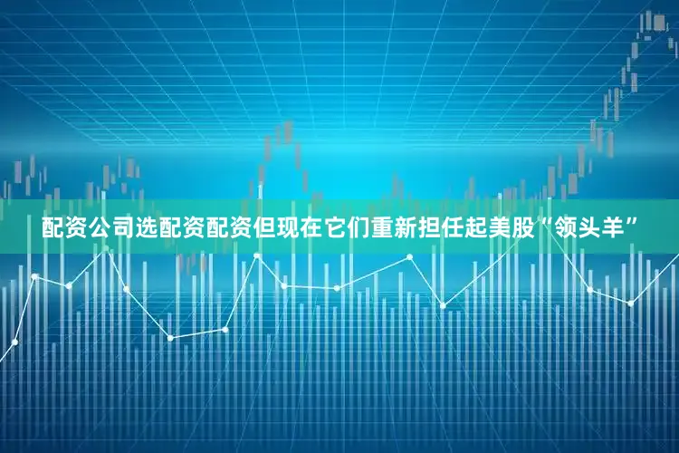 配资公司选配资配资但现在它们重新担任起美股“领头羊”